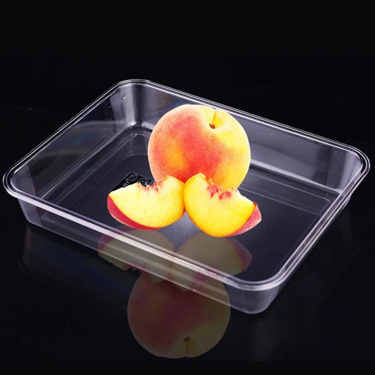 Acrylic Clear Plastic Tray Display Trays Good Quality